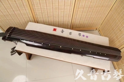 蚌埠市小白学古琴不会指法字符，一招带你玩转古琴20240429